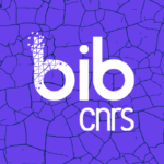 BibCnrs